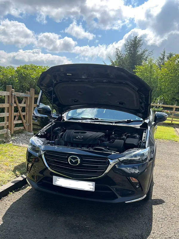 General car repairs Hamilton